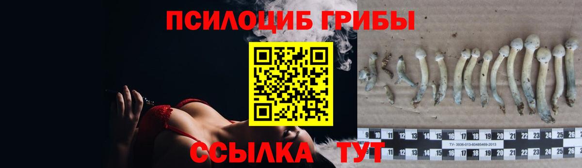 Псилоцибиновые грибы ЛСД Миллерово